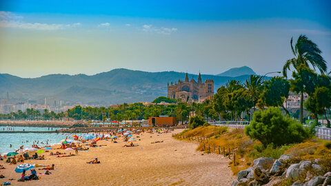 Venecia Paguera Hotel ab/bis Graz oder Wien