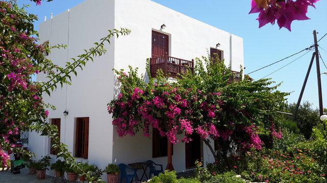 Hotel Deidamia