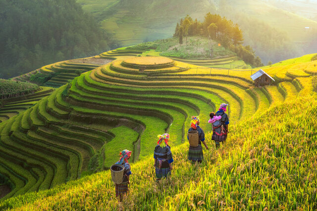 Vietnam Impressionen