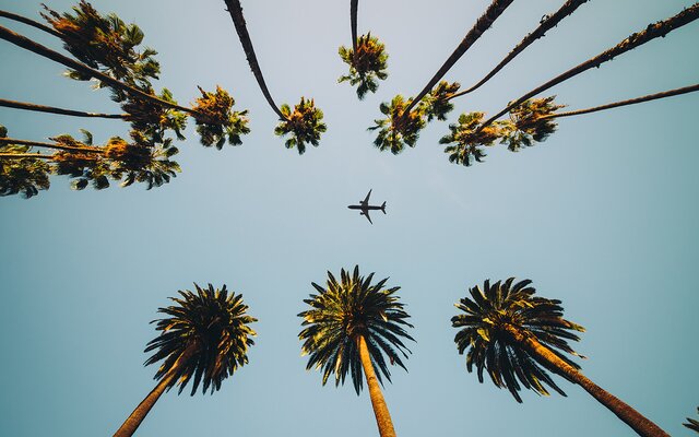 Alles unter einem Hut